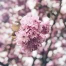 A同学73673的个人资料头像