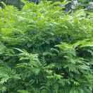 欢乐多酱的个人资料头像