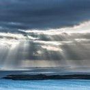 逗逼王小明的个人资料头像