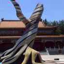 风雨千年君的个人资料头像