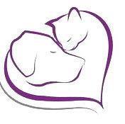 宠物领养的个人资料头像