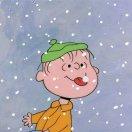 若念的个人资料头像