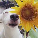 Mary君的个人资料头像