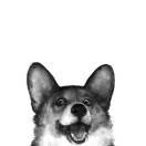 zheng不想说话73859的个人资料头像