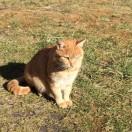 阿山___的个人资料头像