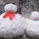 星星同志73937的个人资料头像