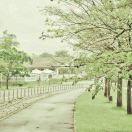 太匆匆的个人资料头像