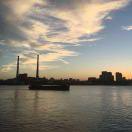 colynn的个人资料头像