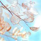 平凡的世界酱74061的个人资料头像