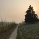 胡壁的个人资料头像