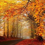 郭潮帆的个人资料头像