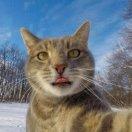 Fengzz的个人资料头像