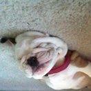 树洞里的虫的个人资料头像