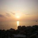 Pxt的个人资料头像