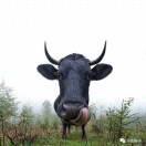 董浩在掘金74195的个人资料头像