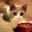 莫大浪的个人资料头像