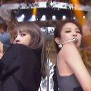 金智妮的猫的个人资料头像