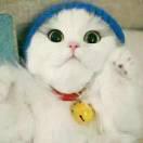 吥懂爱的个人资料头像