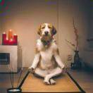 小净重名了的个人资料头像