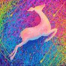 依然fantastic的个人资料头像