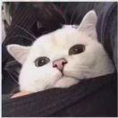 弟中弟中弟的个人资料头像