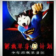 汪星的一颗星的个人资料头像