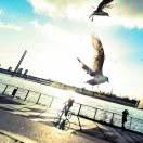 TeFlon74357的个人资料头像