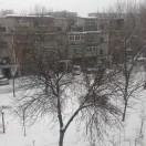 小盐就是我的个人资料头像