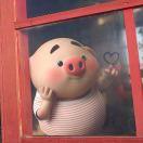 菊小九的个人资料头像