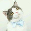 fisher626的个人资料头像