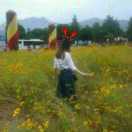 不叫井姑娘的个人资料头像