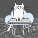 五杠的个人资料头像