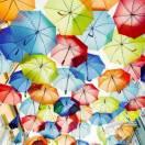 1253925320的个人资料头像