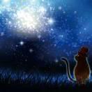 无解重名了的个人资料头像