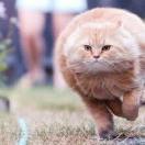 anukl的个人资料头像