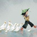 z的个人资料头像