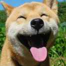 空蒙风_宇的个人资料头像