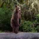 0号神龟的个人资料头像