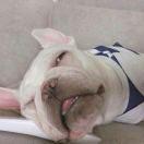 别拿曾经看以后的个人资料头像