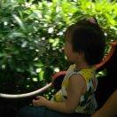 华仔Hi的个人资料头像