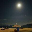 APEAPI的个人资料头像