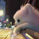 H___O_P___E___的个人资料头像