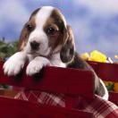 张中原的个人资料头像