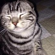 shensyc的个人资料头像