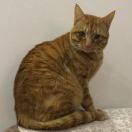 刘家村村长的个人资料头像