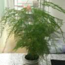 刘新的个人资料头像