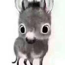 一只二菟子的个人资料头像