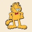 叶子同志74747的个人资料头像