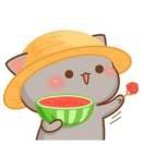 不的个人资料头像