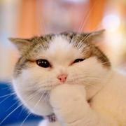 cuicui88的个人资料头像